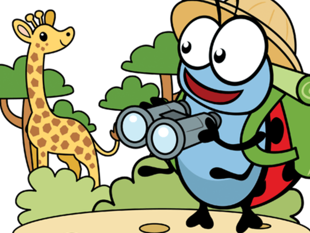 Kriki wild life Ruien (6-10/07/2026) © Kriebelkampen / Creafant vzw