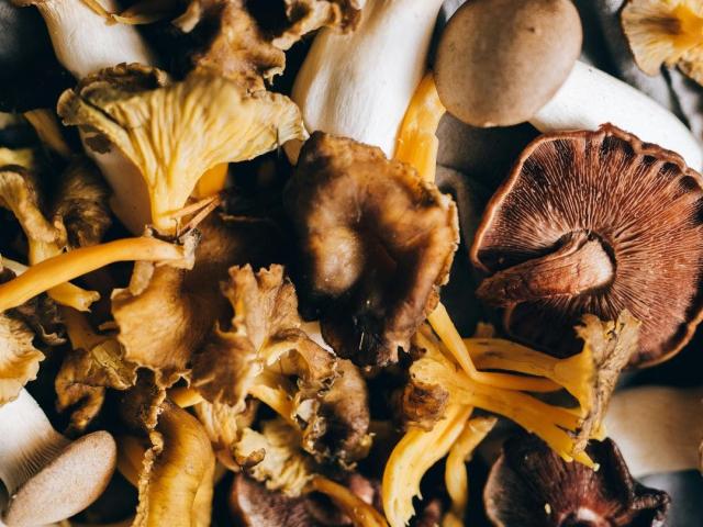 Verrassend koken met champignons en paddenstoelen - kookdemo © Pexels